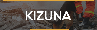 Kizuna