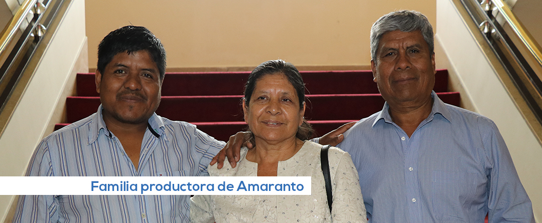 C amaranto2