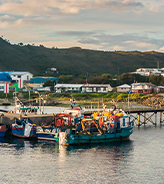 Chile capacita a profesionales para el uso de Plataforma para el Registro Latinoamericano de Quemaduras