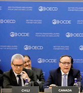 Director propone avanzar en el uso de criterios multidimensionales de medici&oacute;n del desarrollo en Reuni&oacute;n de Alto Nivel del CAD en Par&iacute;s